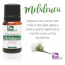 Óleo Essencial Dermare Natural para Aromaterapia